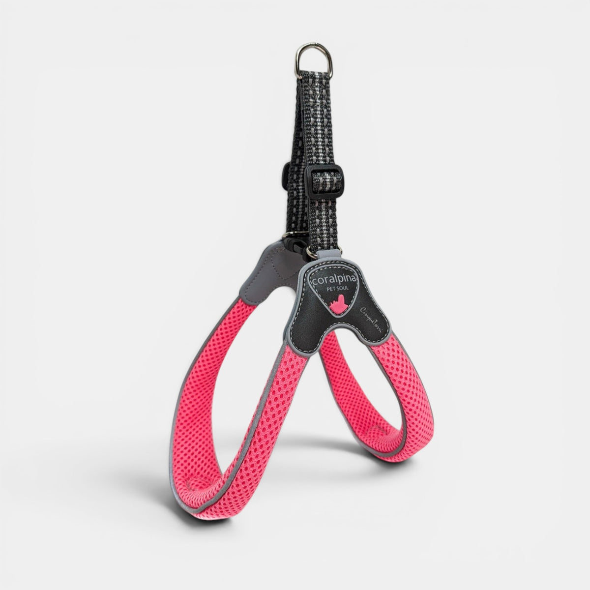 Cinqetorri Harness