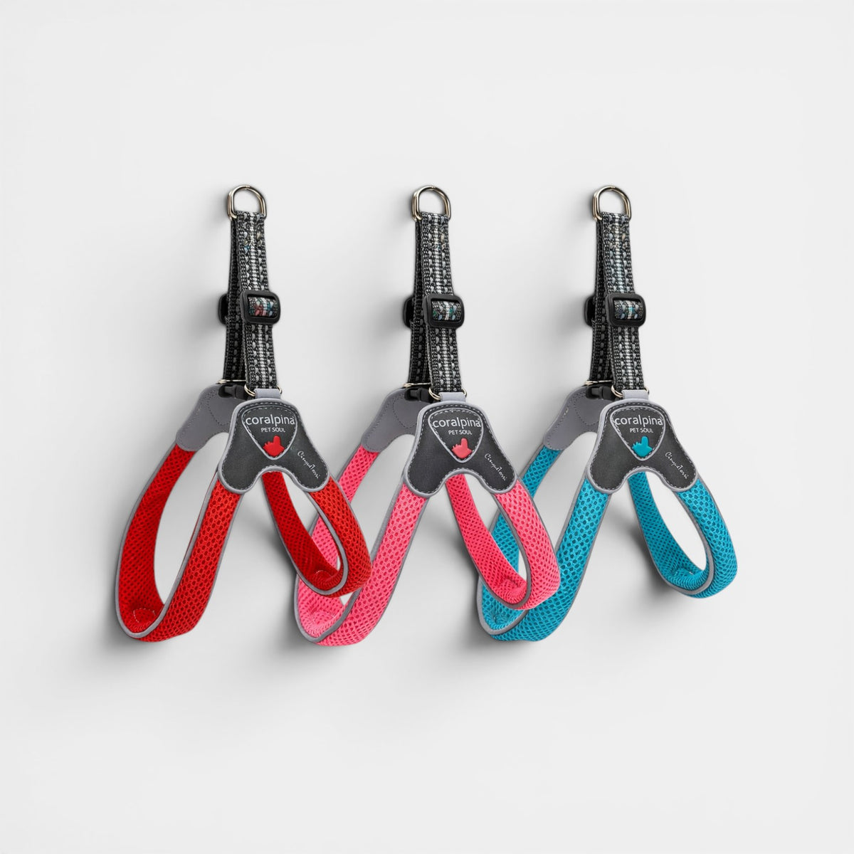 Cinqetorri Harness