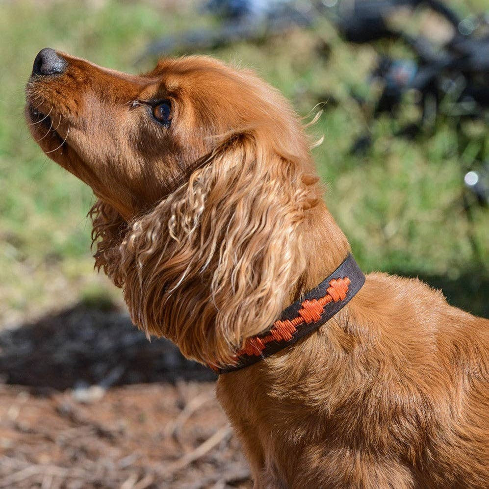 Polo Bark Lead - ochre
