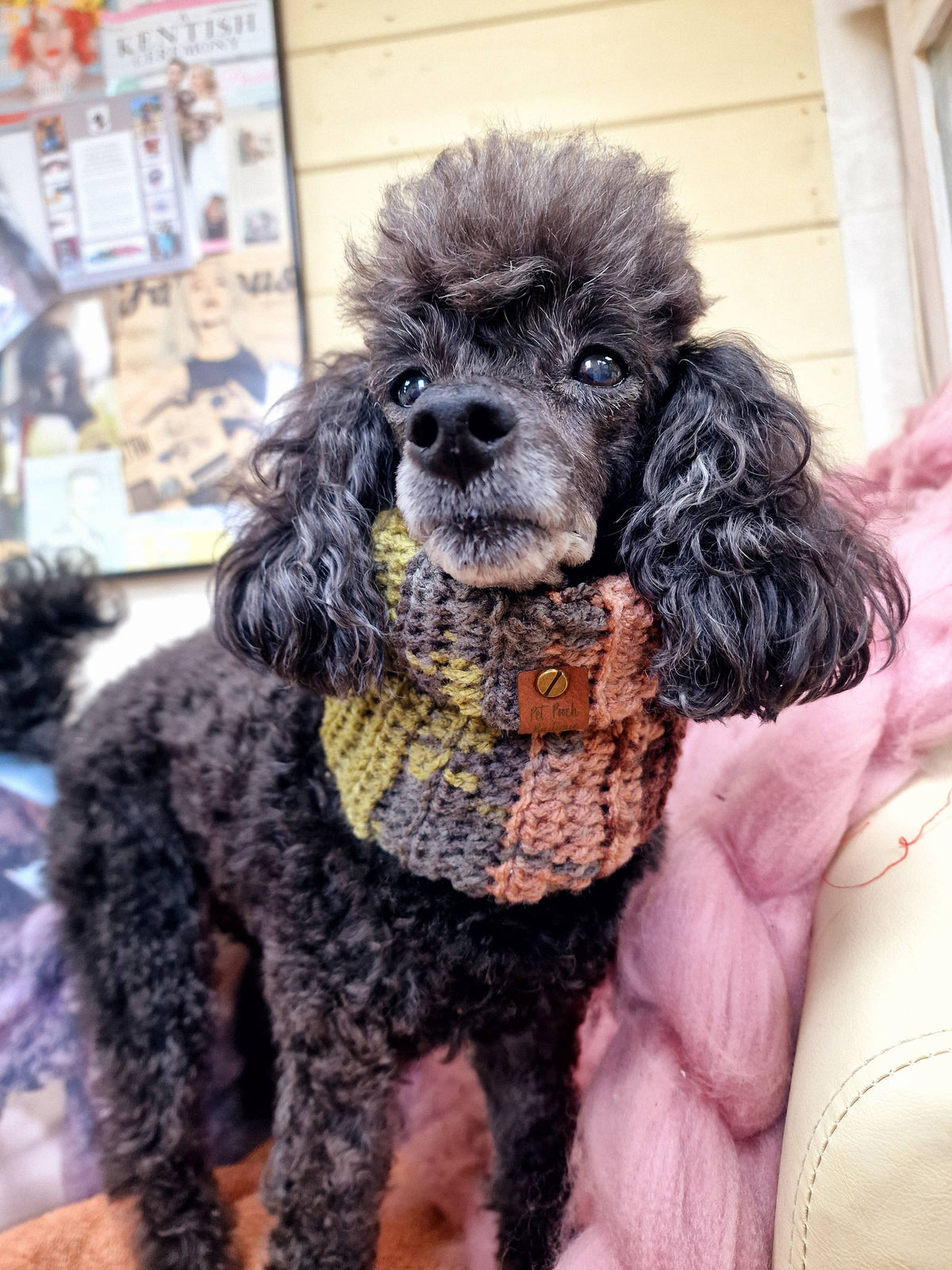 Cosy Cottage Knitted Dog Snood - Roll Top (UK handmade)