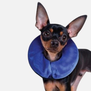KONG Cloud Inflatable Collar
