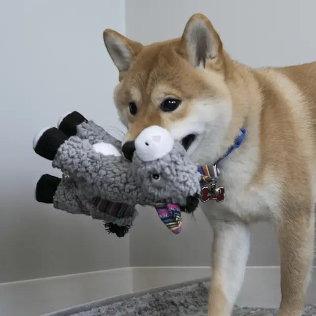 Kong Sherps Donkey