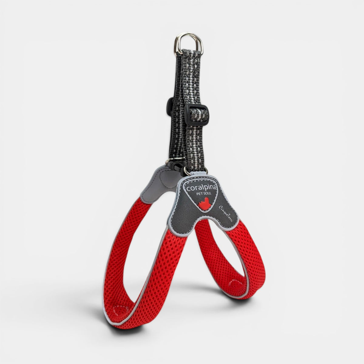Cinqetorri Harness