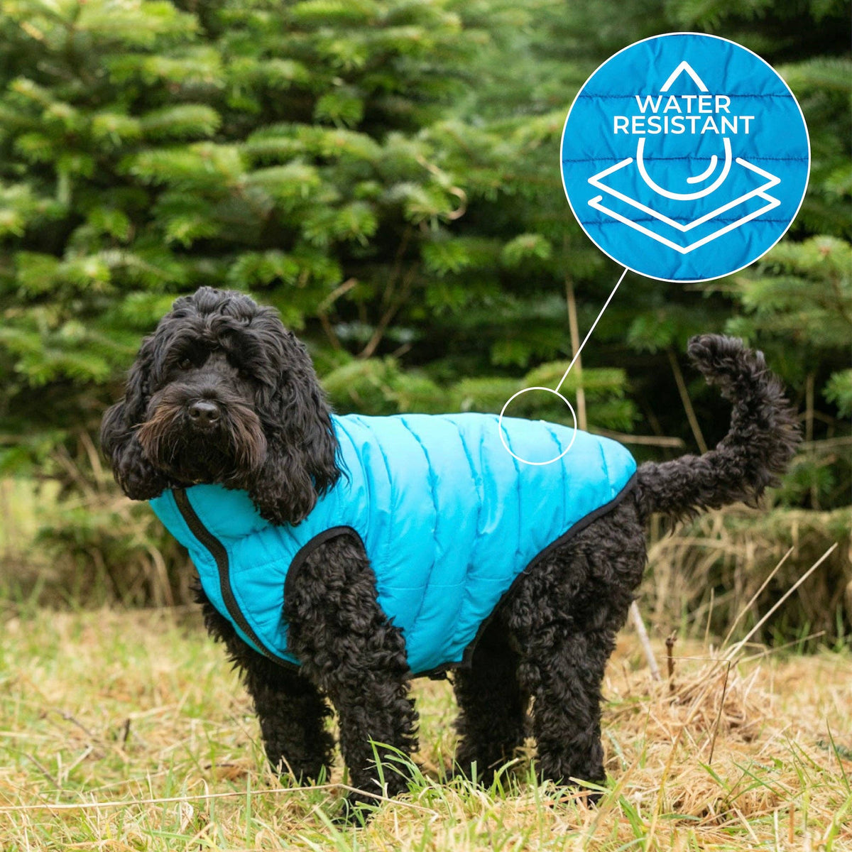 Reversible Dog Puffer Jacket - Light Blue and Grey
