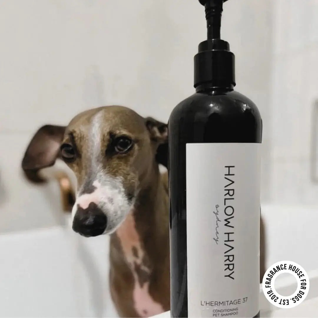 2-in-1 Conditioning Dog Shampoo | L'hermitage 37