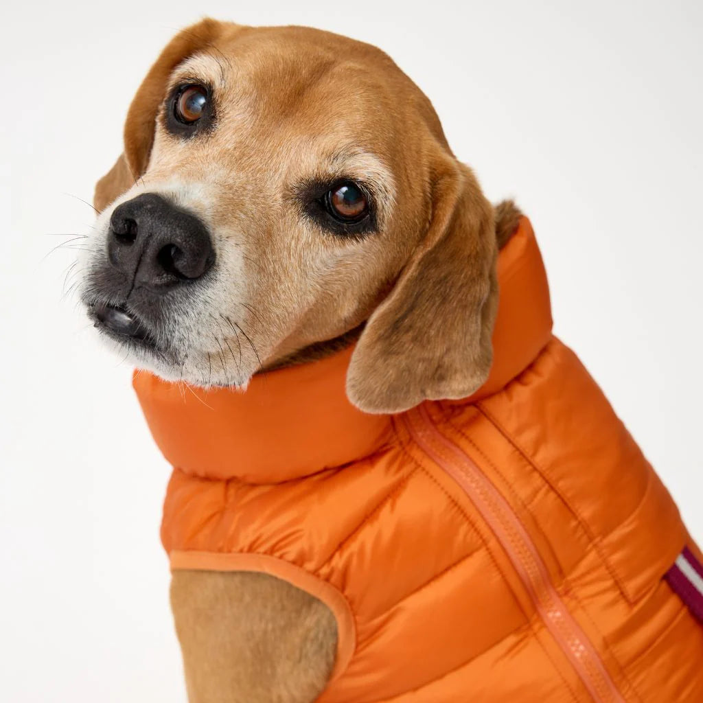 Reversible Dog Back Zipper Puffer Jacket with Harness Hole - Sunset Orange