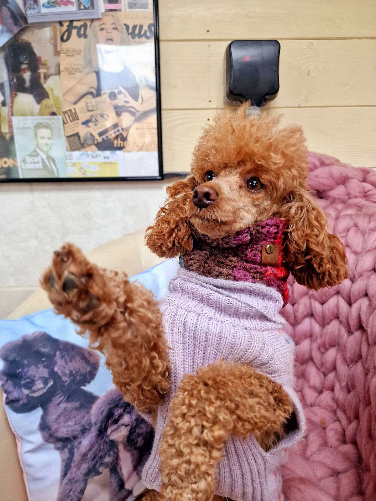 Cosy Cottage Knitted Dog Snood - Roll Top (UK handmade)