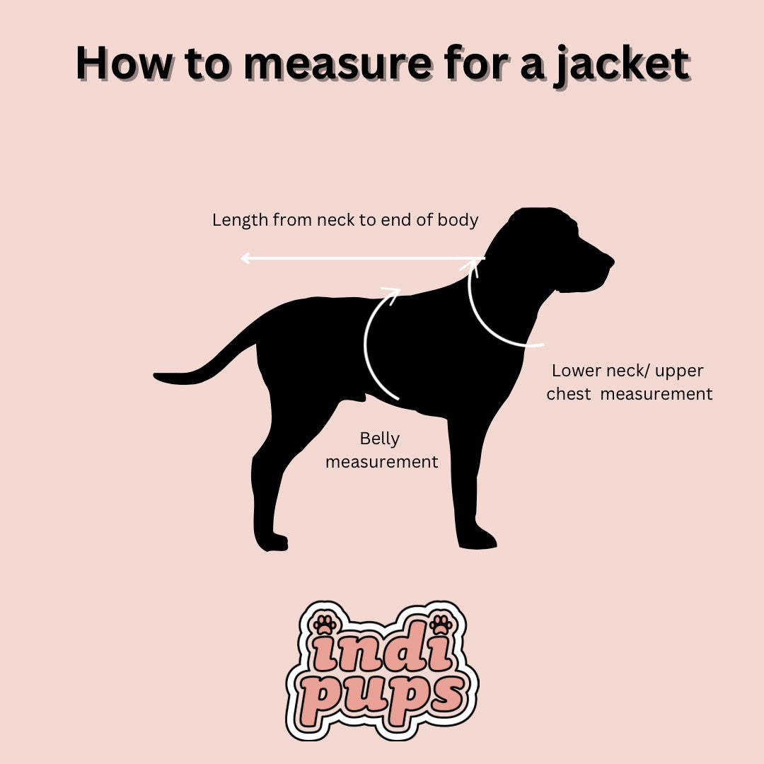 Pink Check Dog Jacket