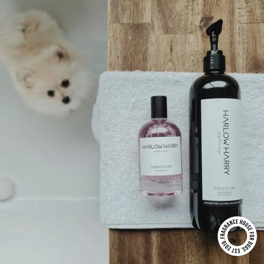 2-in-1 Conditioning Dog Shampoo | D'bacca 169