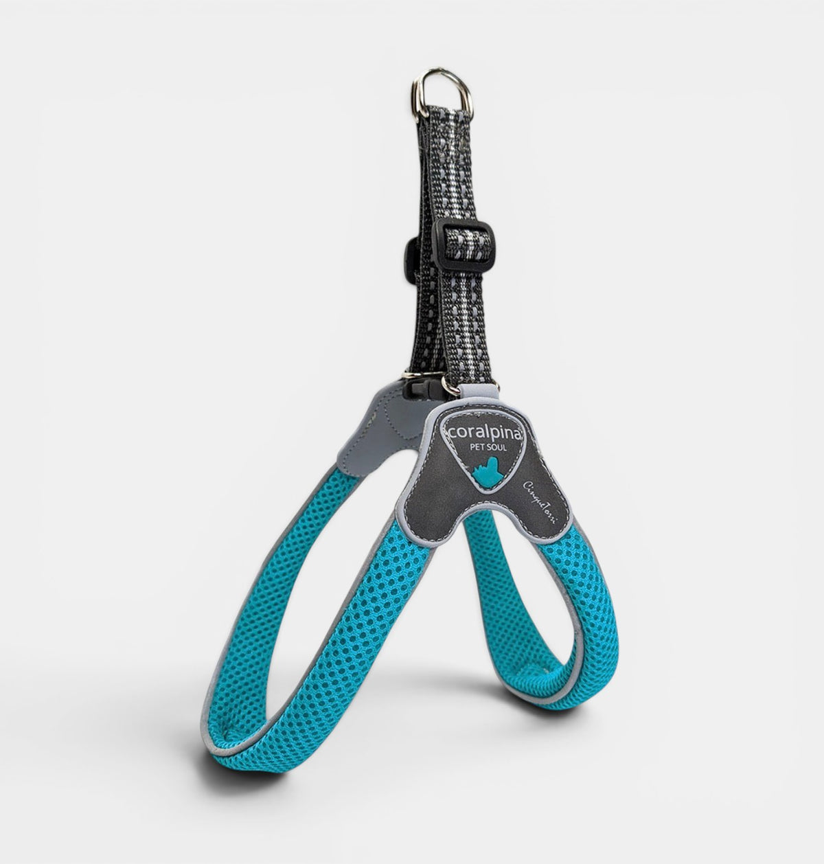 Cinqetorri Harness