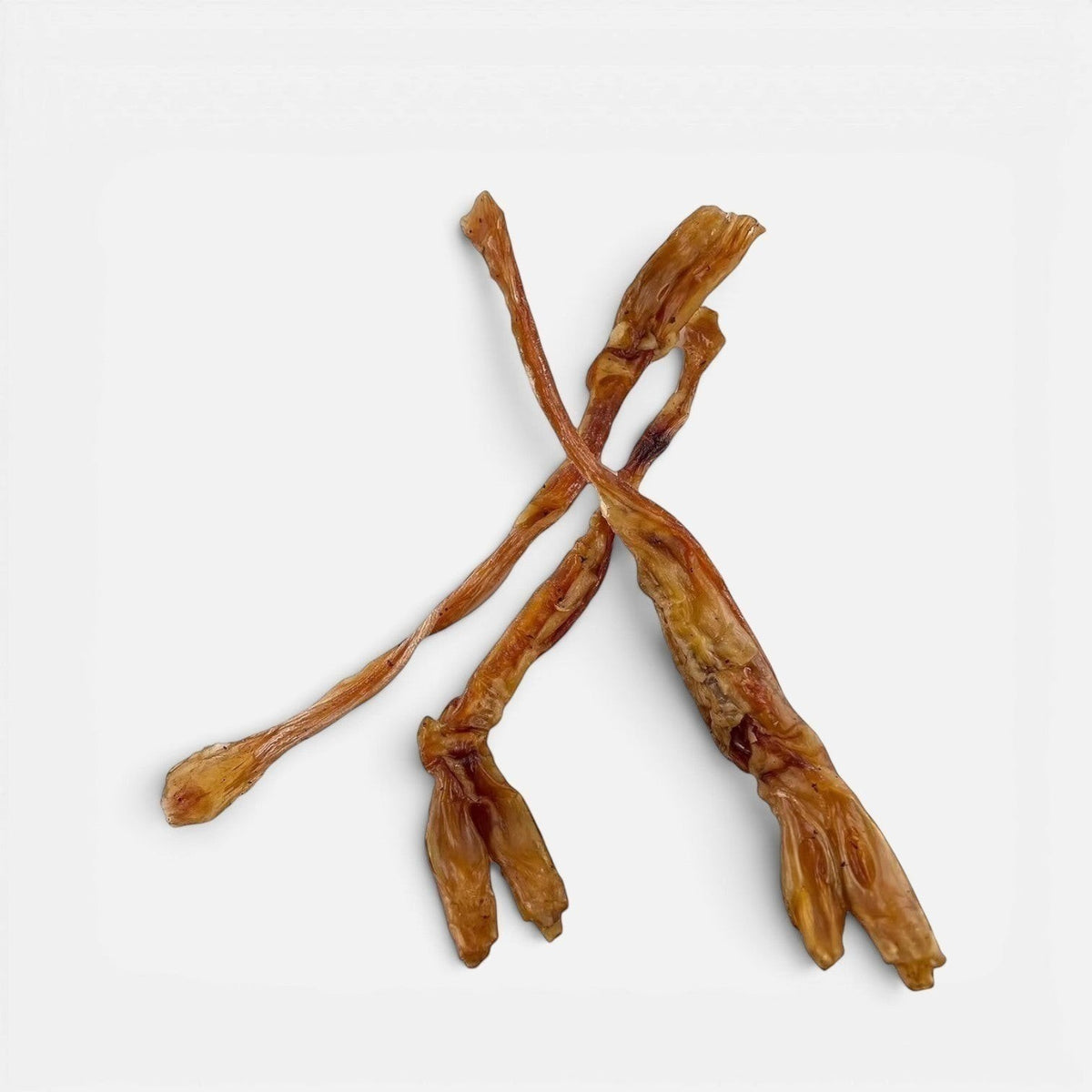 Beef Achilles  XL Tendon