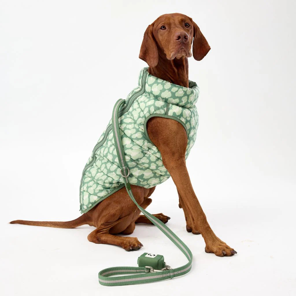 Reversible Dog Back Zipper Puffer Jacket with Harness Hole - Forest Green / Animal Print