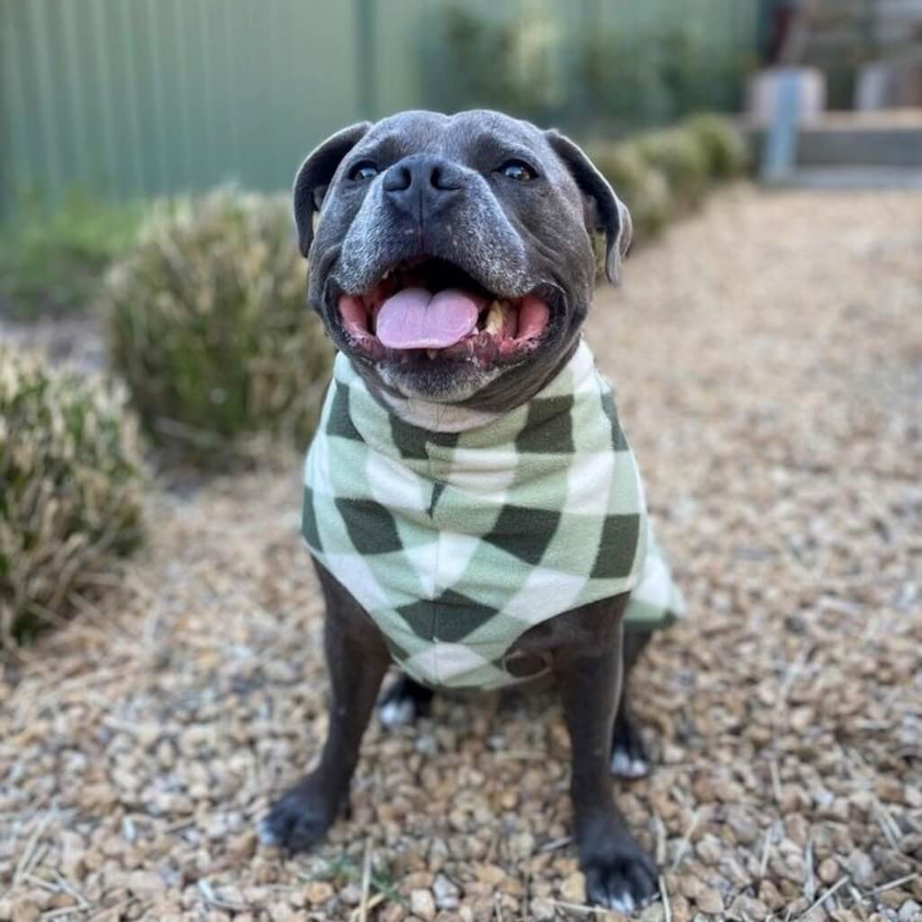 The Floofy Fleece - Green Gingham