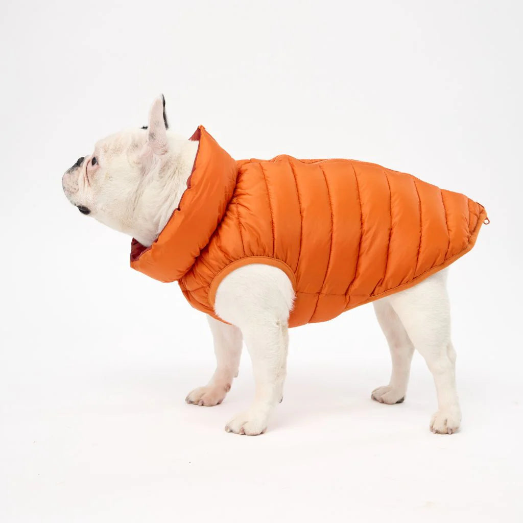Reversible Dog Back Zipper Puffer Jacket with Harness Hole - Sunset Orange