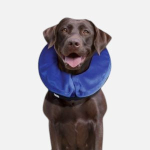 KONG Cloud Inflatable Collar