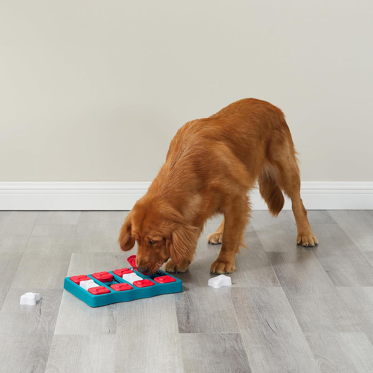 Nina Ottosson Dog Worker Puzzle