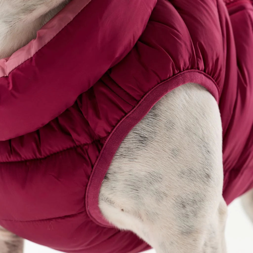 Back Zipper Puffer Jacket with Harness Hole - Berry