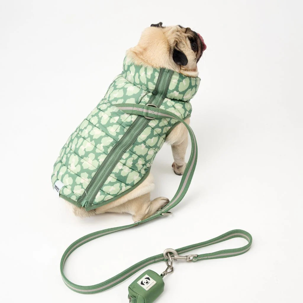 Reversible Dog Back Zipper Puffer Jacket with Harness Hole - Forest Green / Animal Print