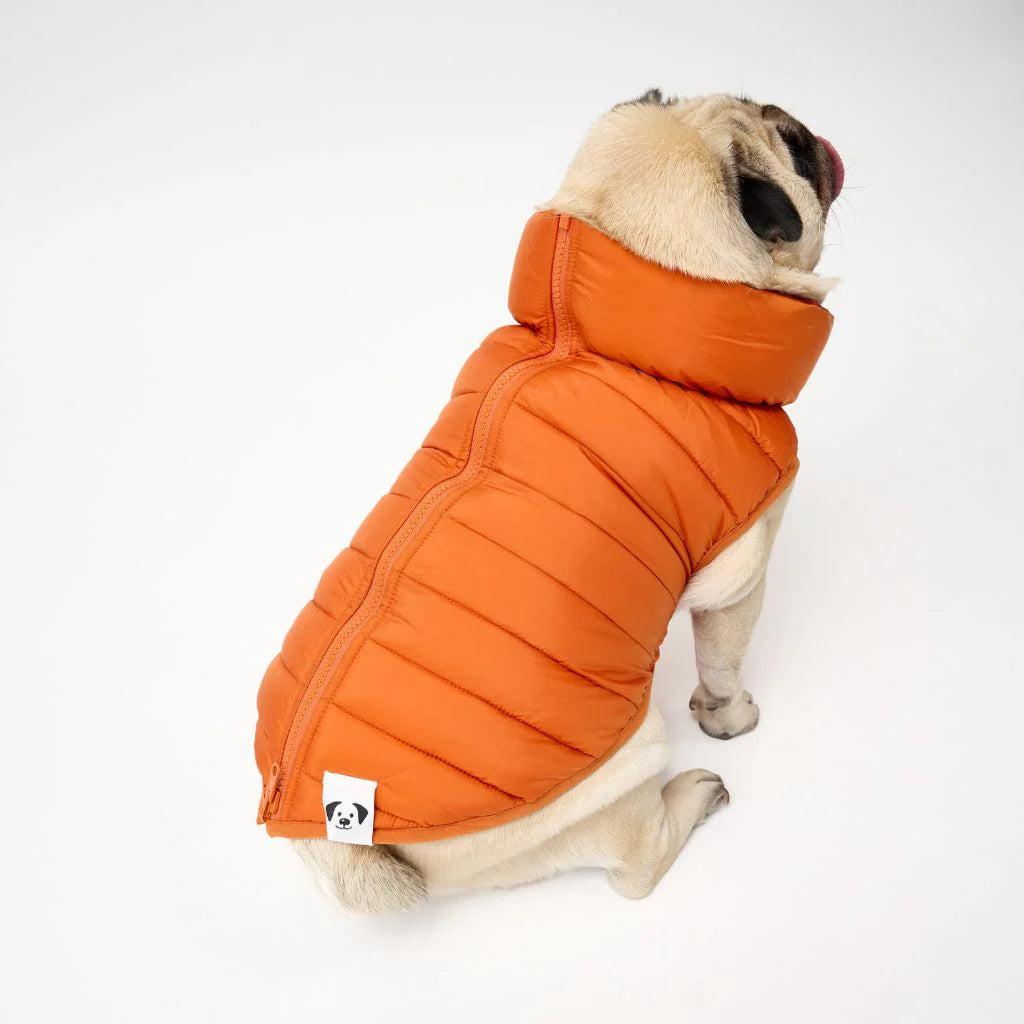 Reversible Dog Back Zipper Puffer Jacket with Harness Hole - Sunset Orange
