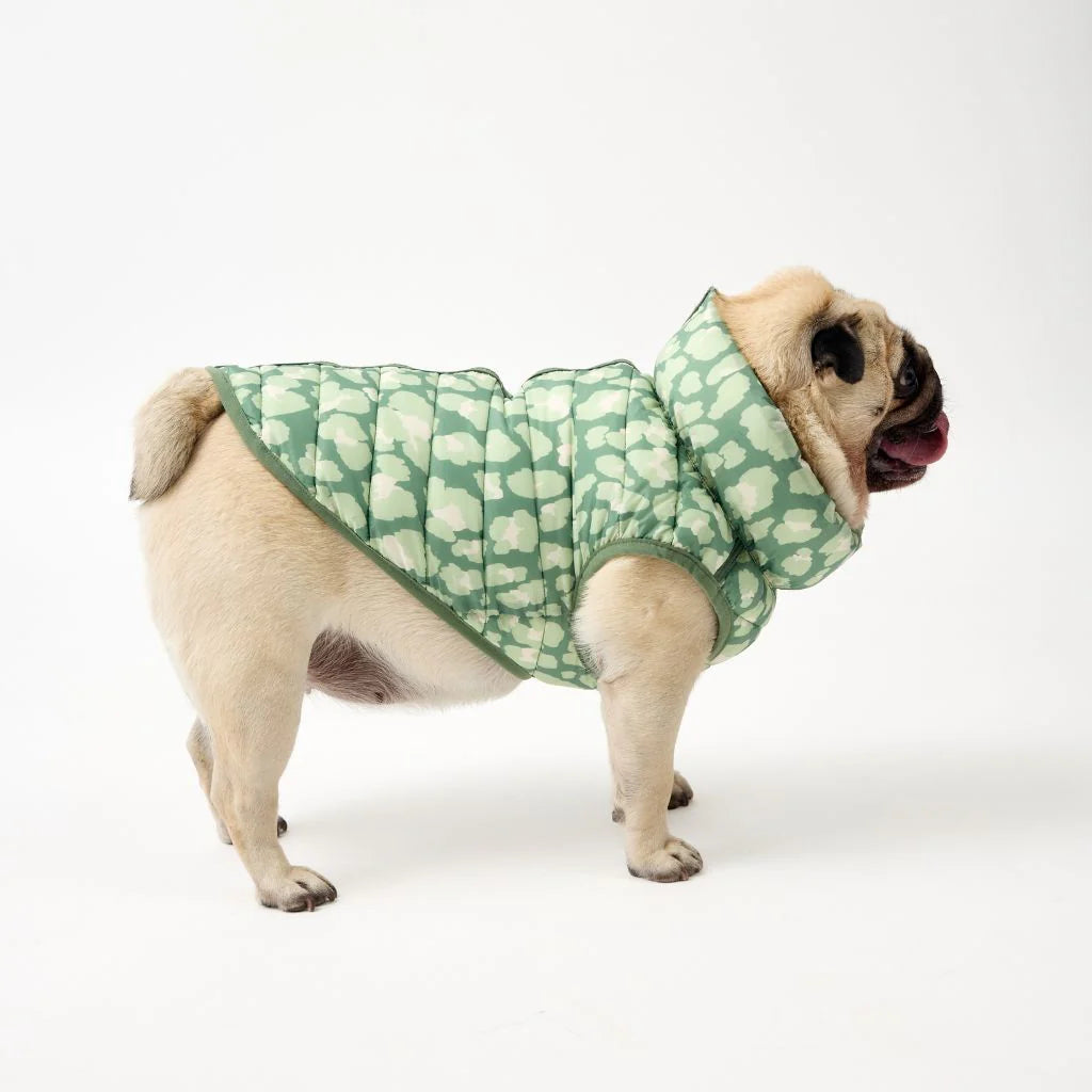 Reversible Dog Back Zipper Puffer Jacket with Harness Hole - Forest Green / Animal Print