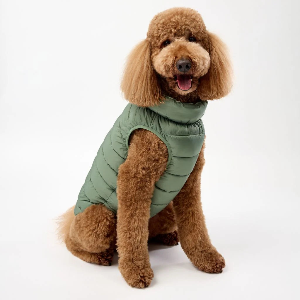 Reversible Dog Back Zipper Puffer Jacket with Harness Hole - Forest Green / Animal Print
