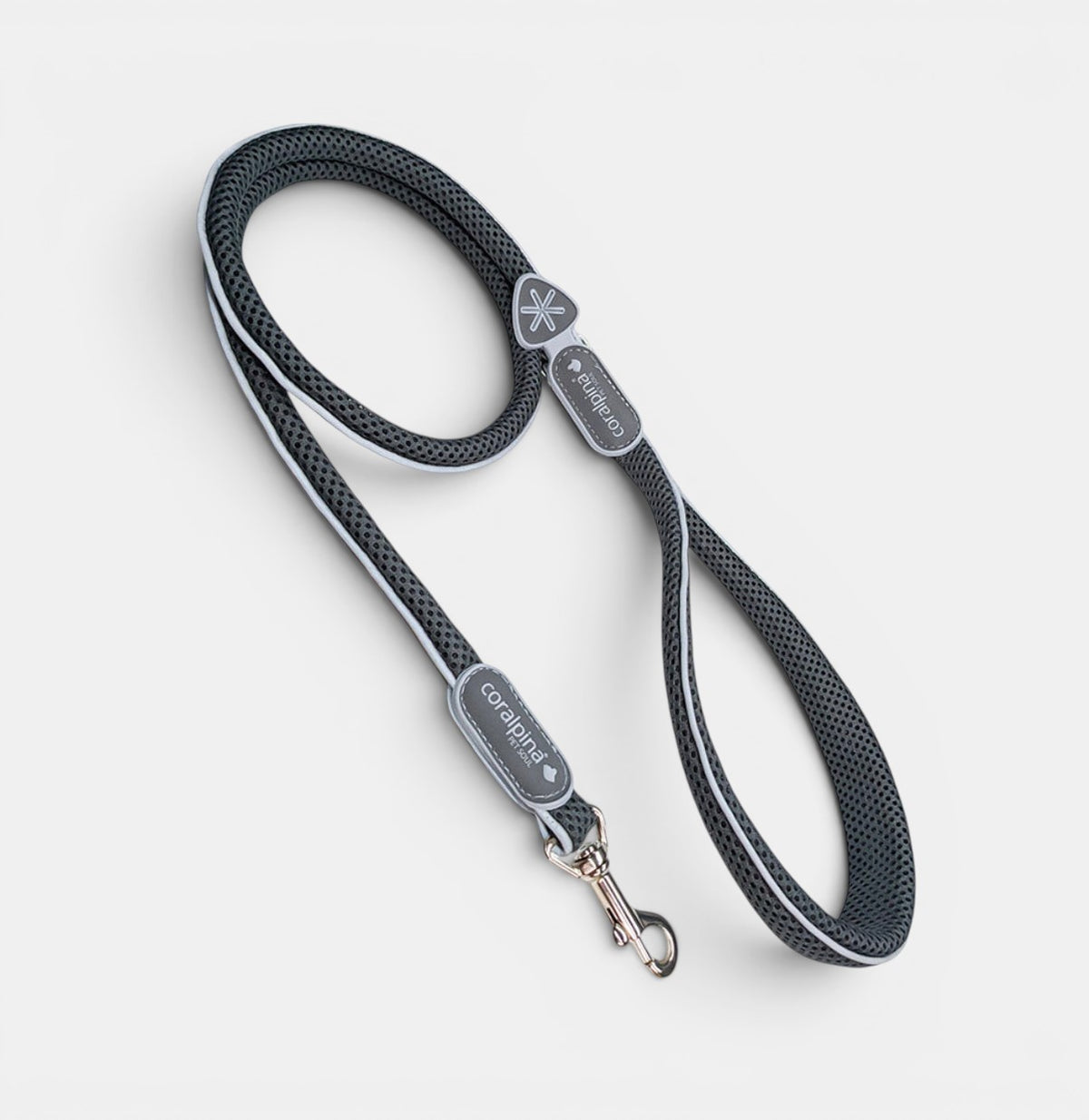Cinqetorri Lead