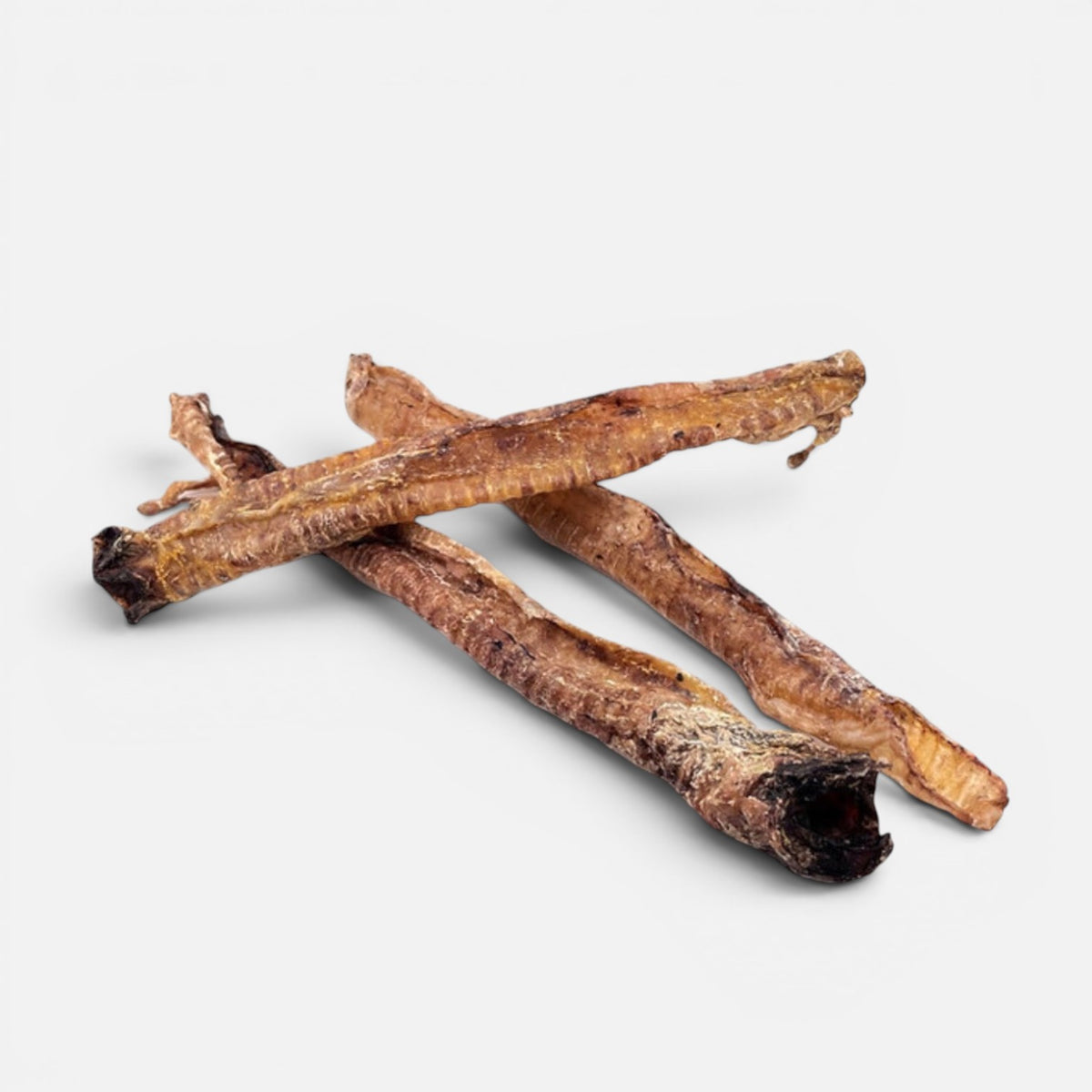 Lamb Trachea