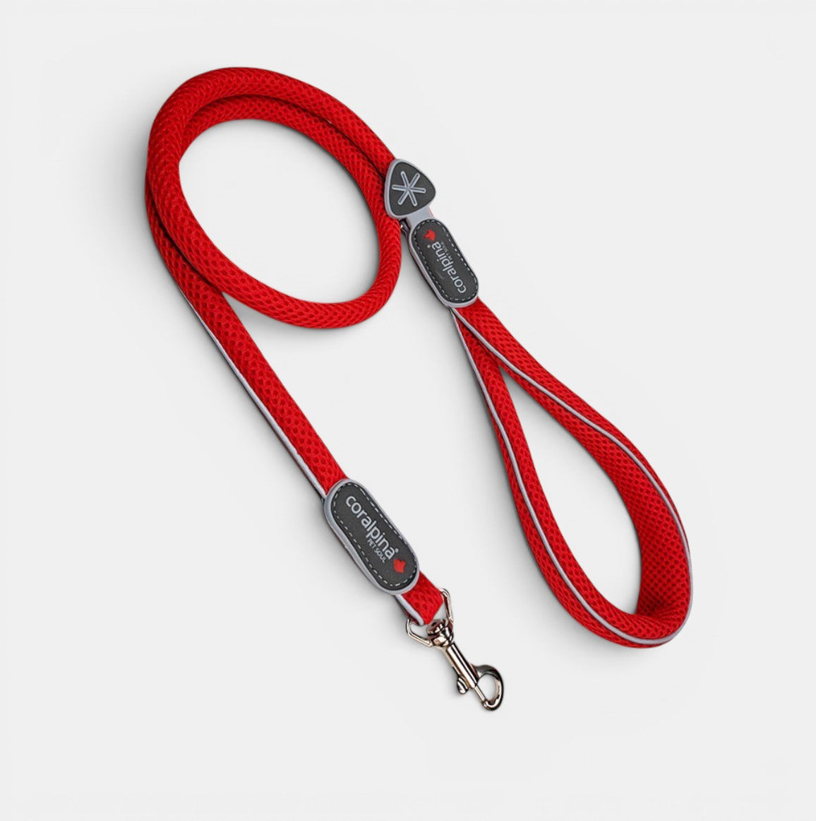 Cinqetorri Lead