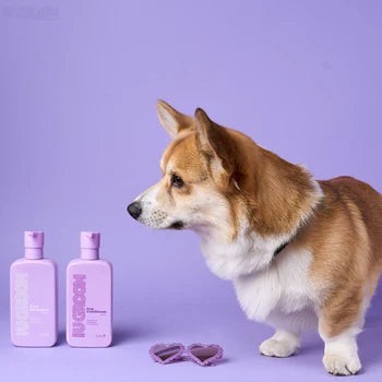 U Groom Shampoo