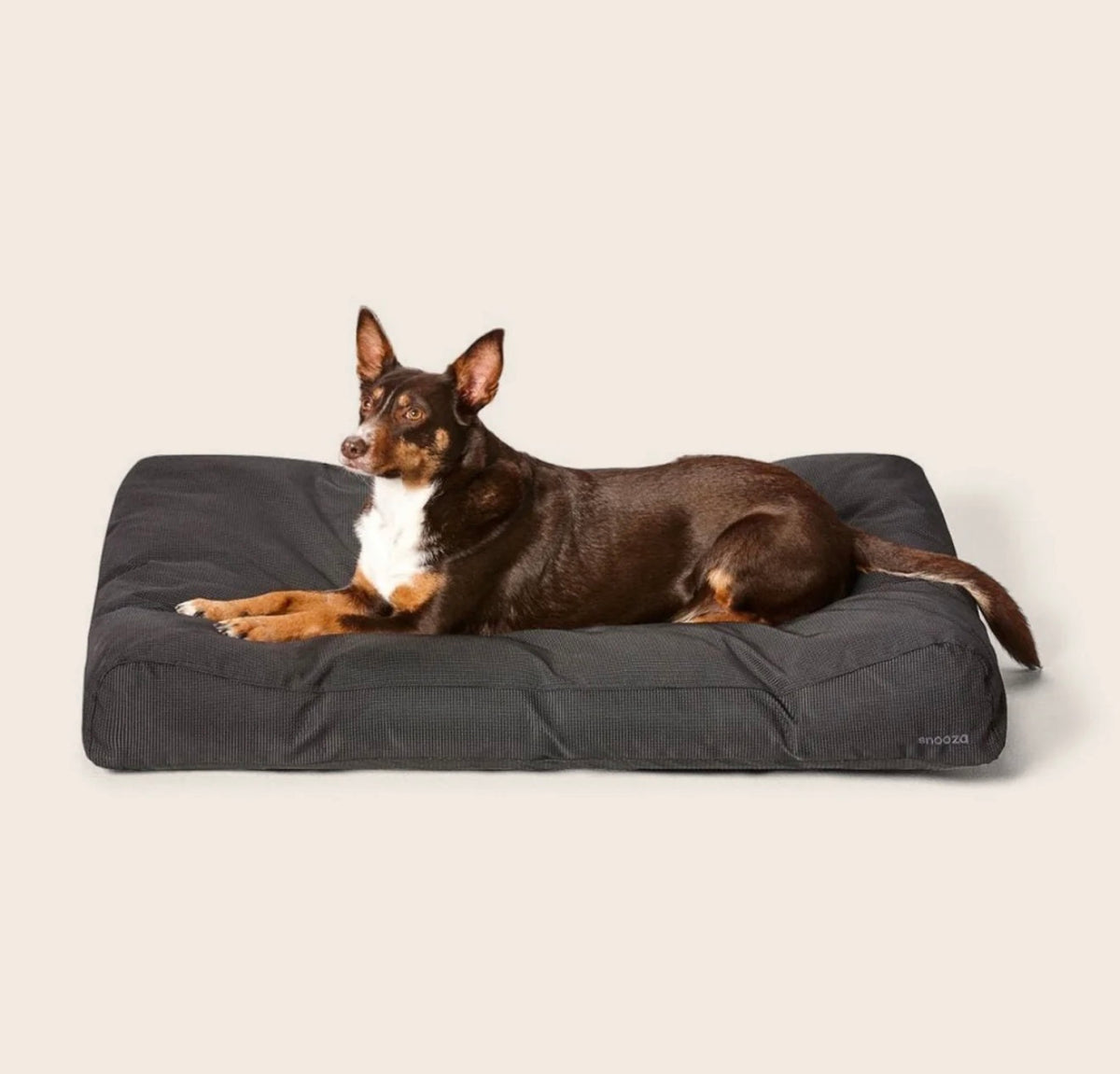Ultra-Tuff Lounger Black