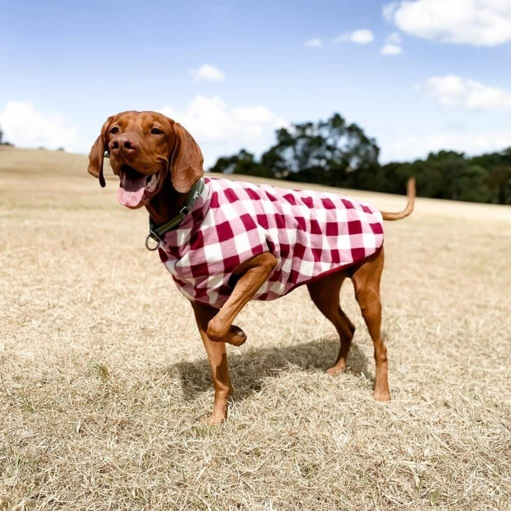 The Floofy Fleece - Berry Gingham