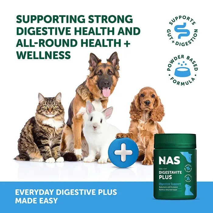 NAS Digestive Plus 100g