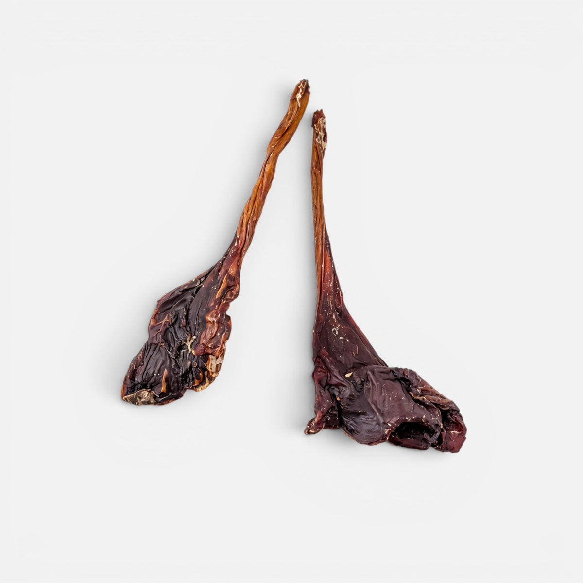 Roo Tendons