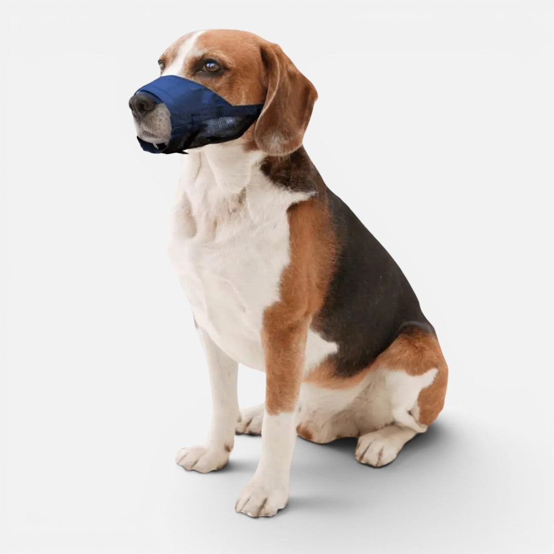 Nylon Muzzle