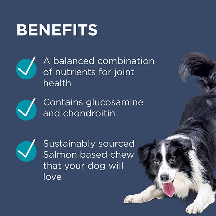 Paw Osteocare joint Protect Chews