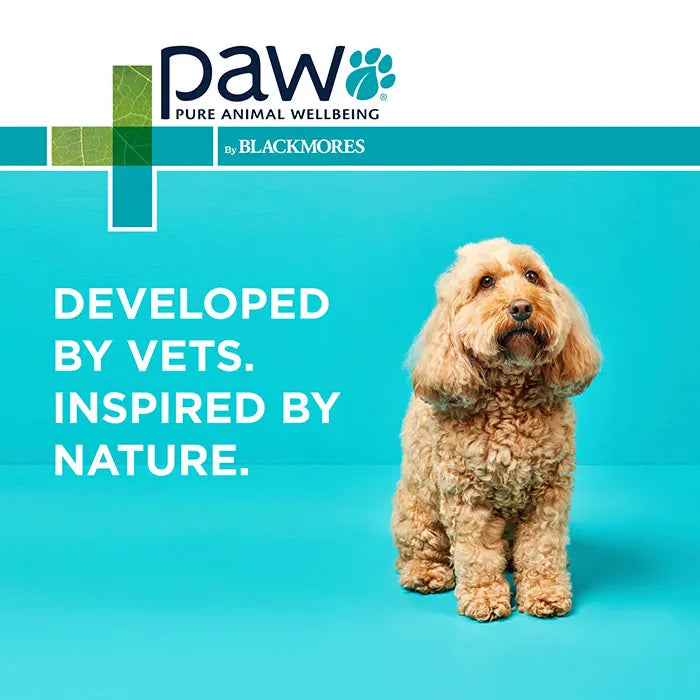 Paw Osteocare joint Protect Chews