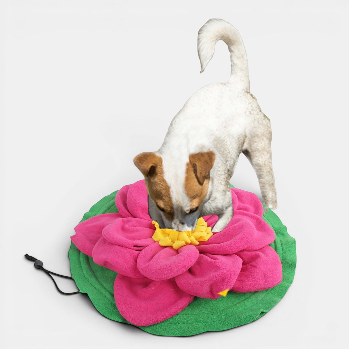 Giant Lotus Snuffle Mat