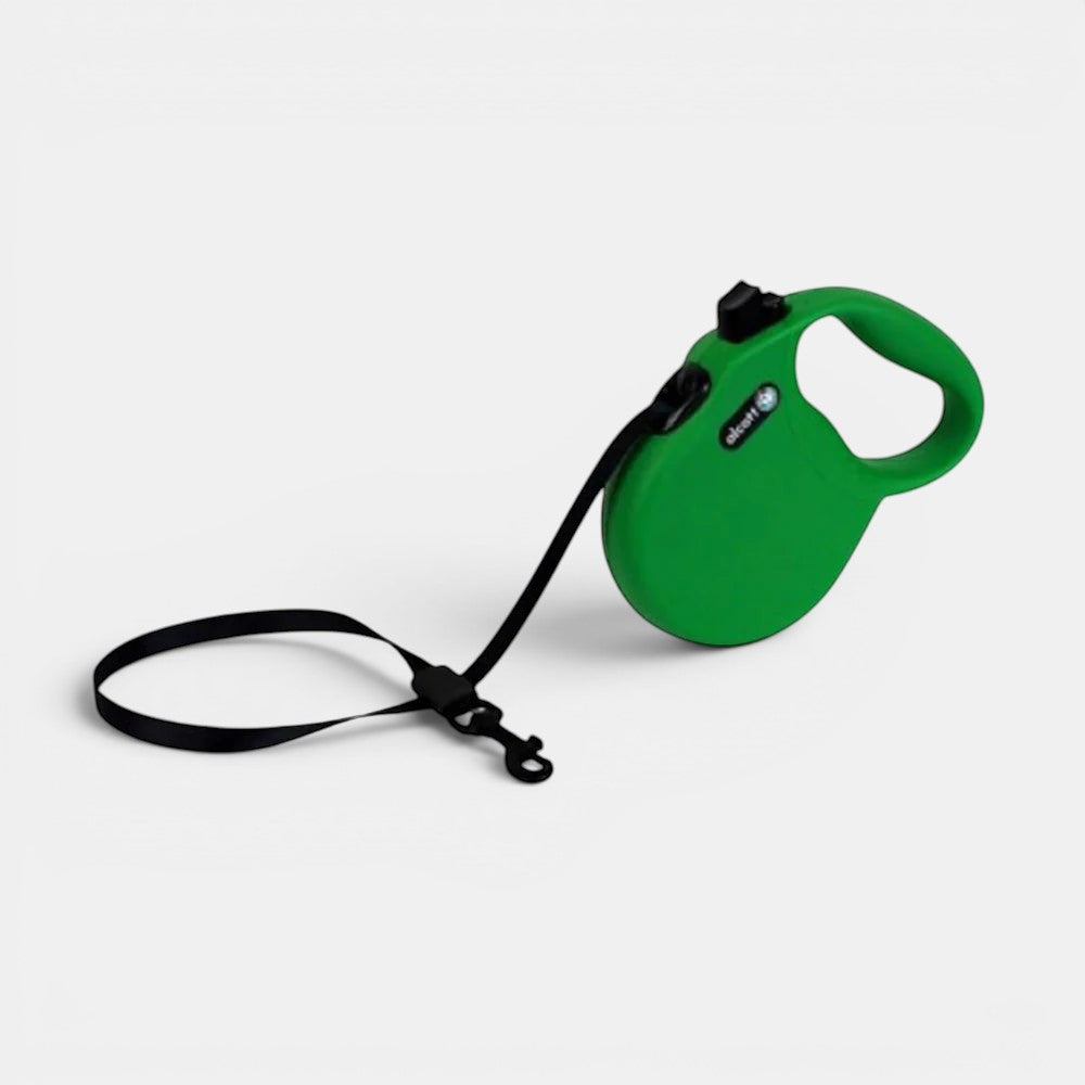 Wanderer Retractable Leash - Green