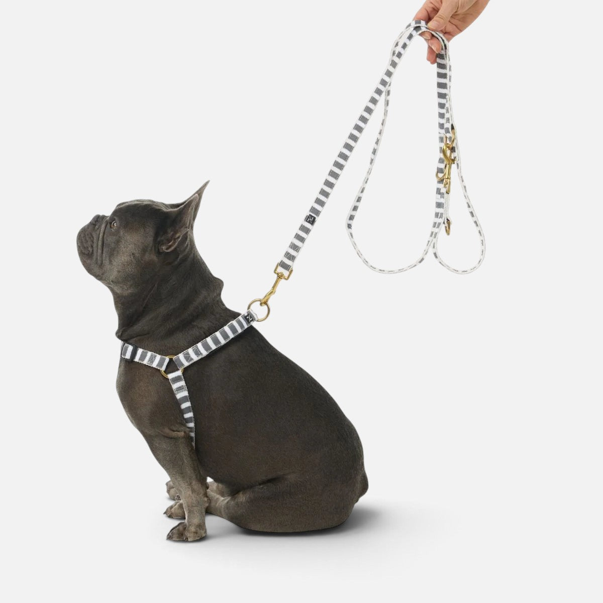 Hemp Dog Lead - Multi Function with Leather & Brass Fittings - Black Wave