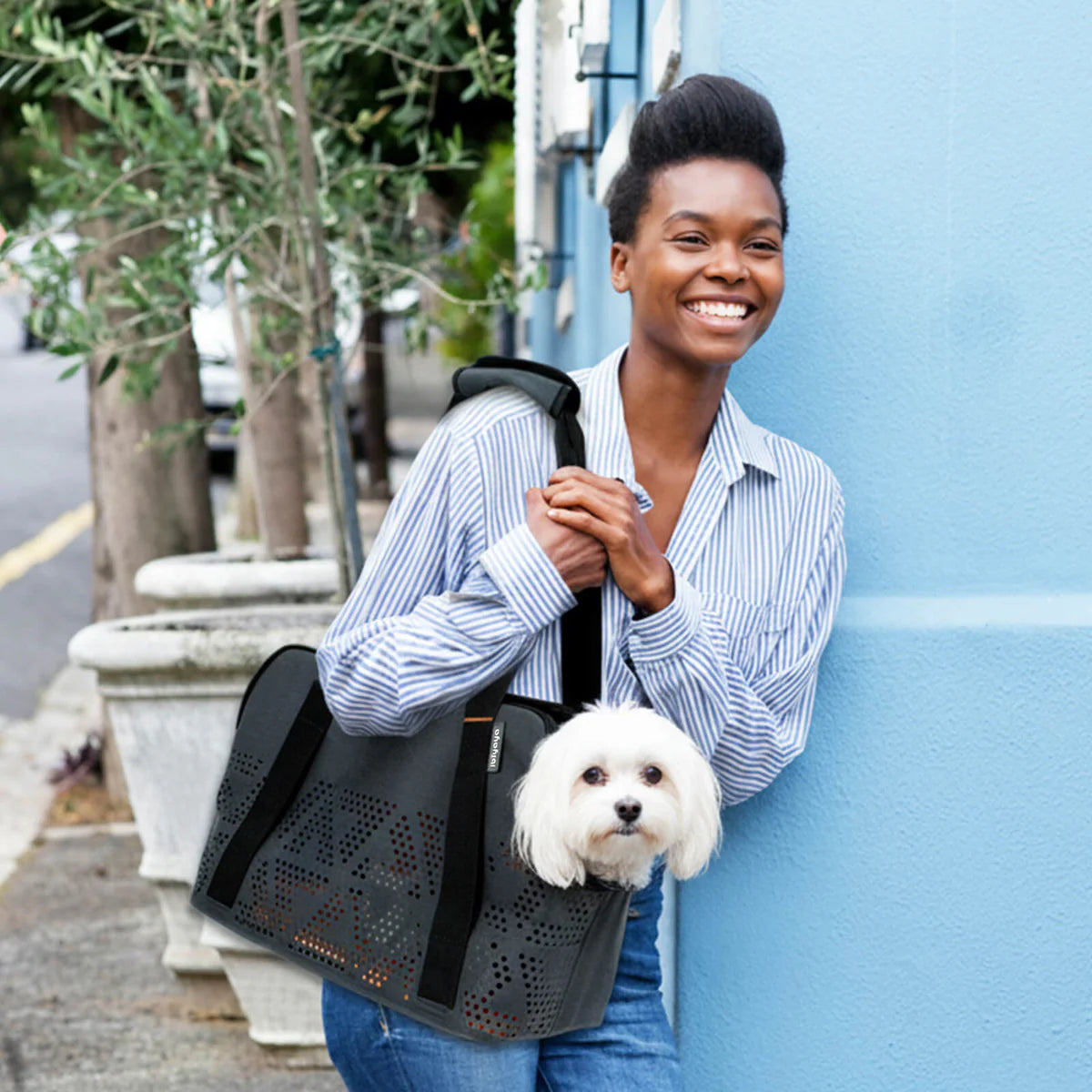 Ibiyaya - The Breezy Wanderer No-Fur Pet Carrier Tote Bag