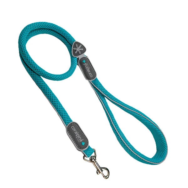Cinqetorri Lead