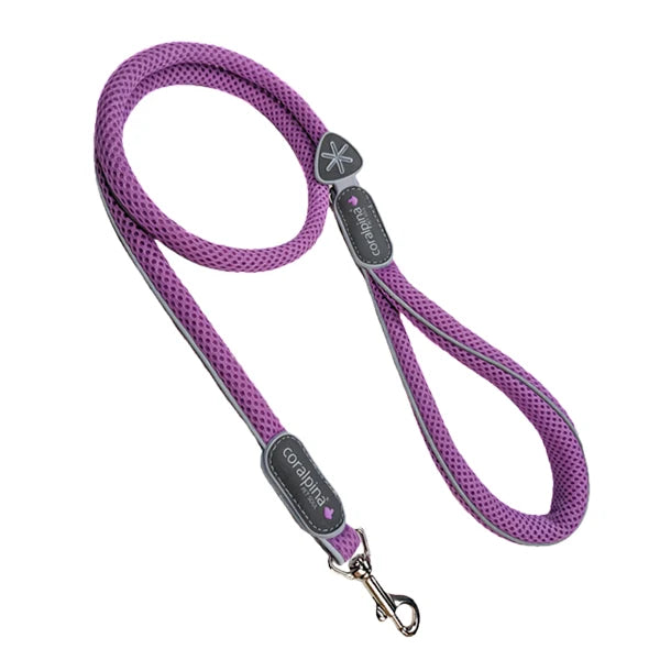 Cinqetorri Lead