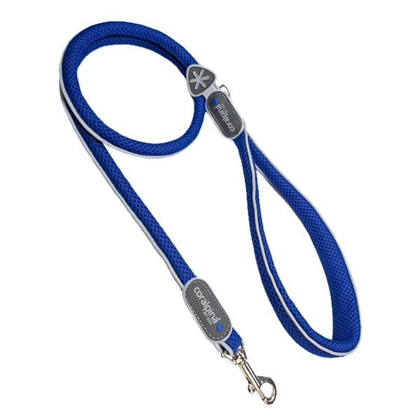 Cinqetorri Lead