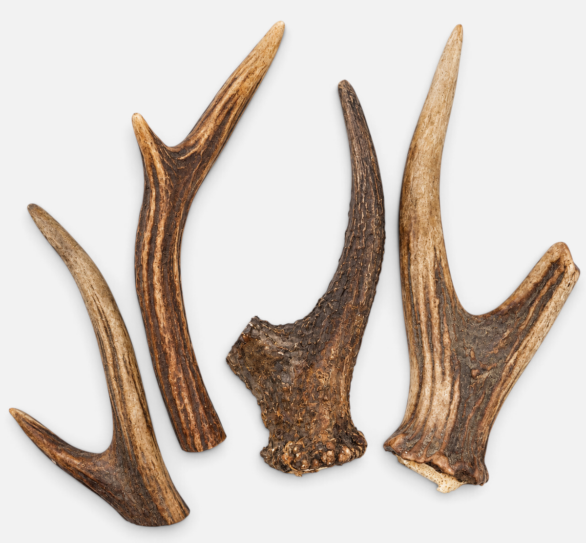 The Dog Emporium natural deer antler dog chews in various shapes and sizes on a white background.