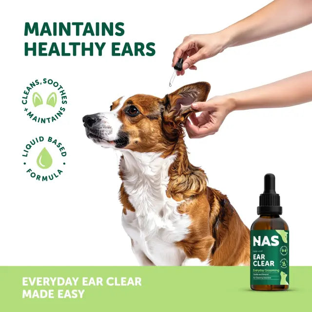 NAS Ear drop