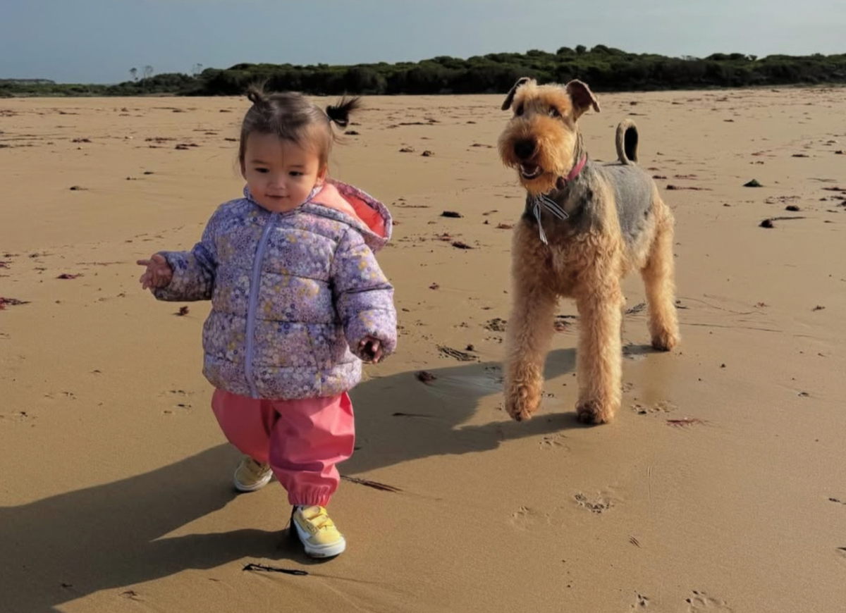 The Dog Emporium