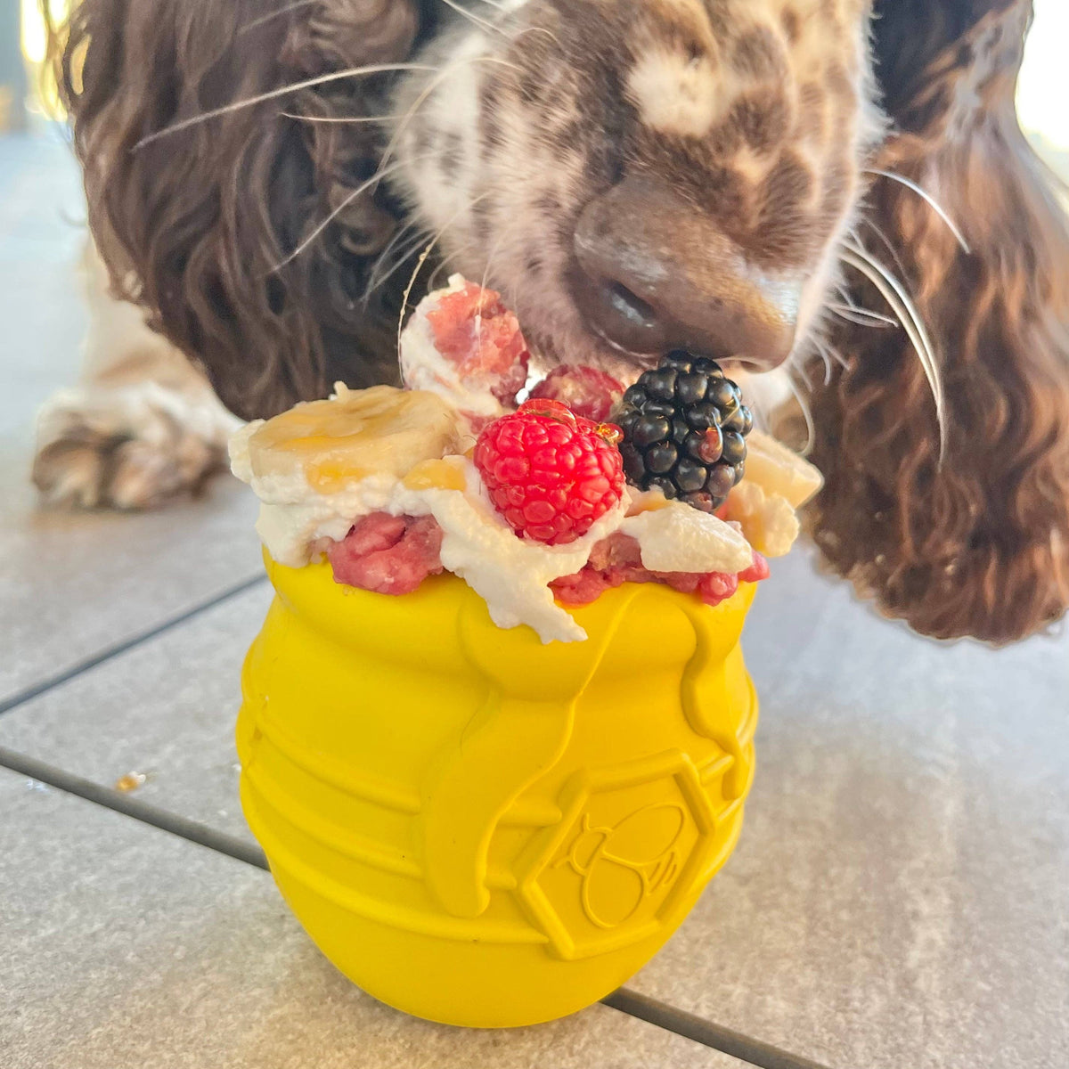 Honey Pot - Chew and Enrichment Toy