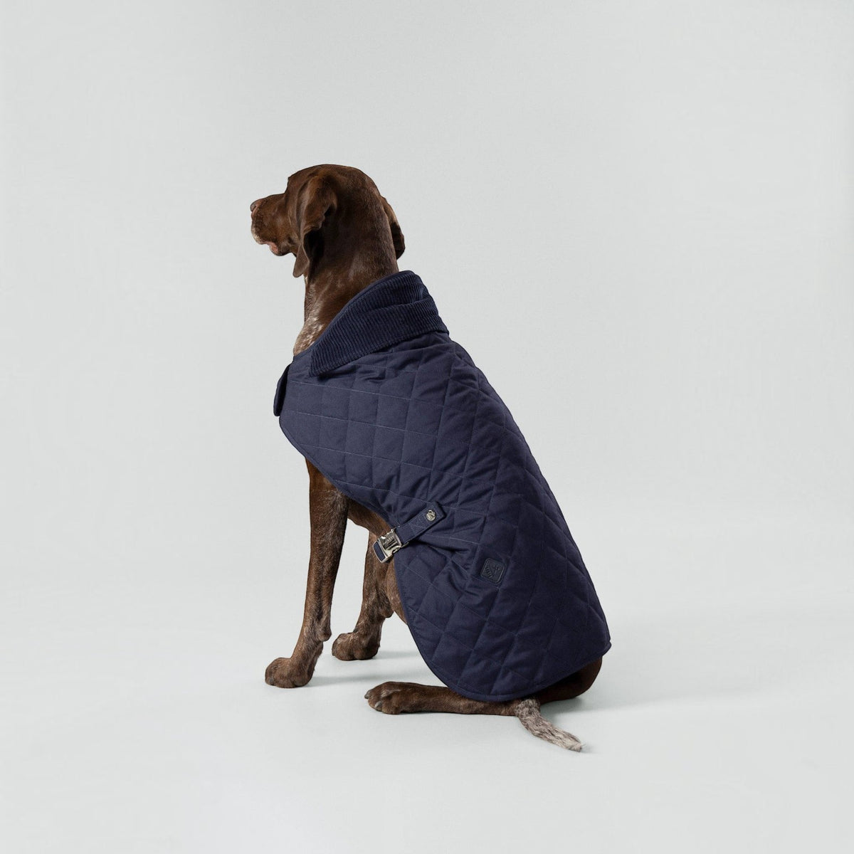 Hackett x Hugo Hudson Navy Quilted Dog Jacket