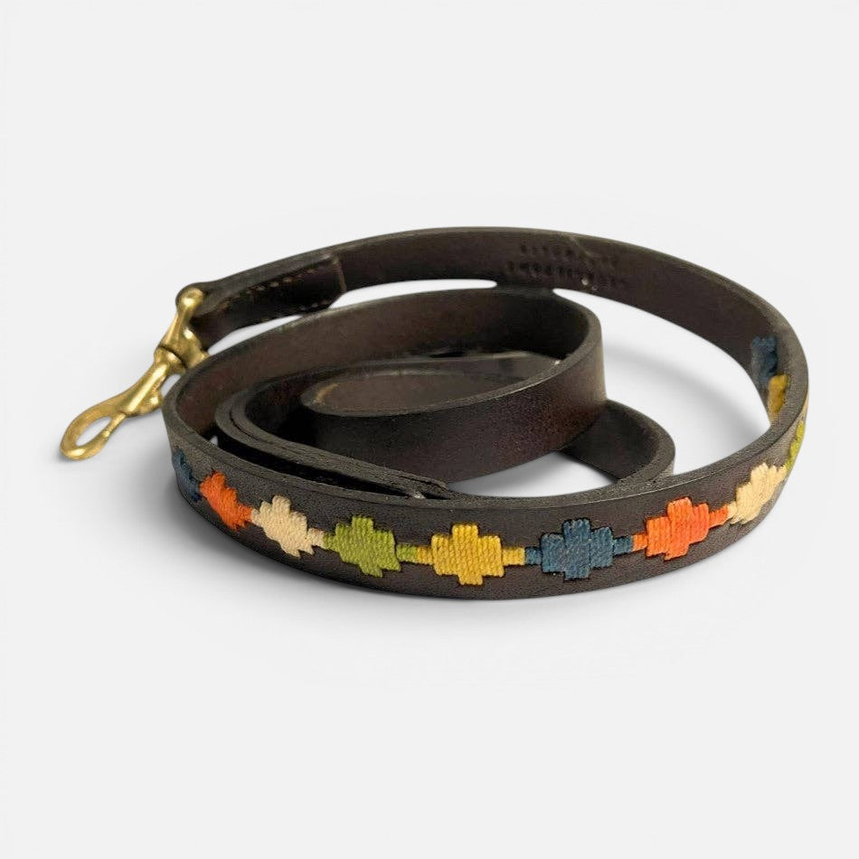 Polo Lead - Arvo