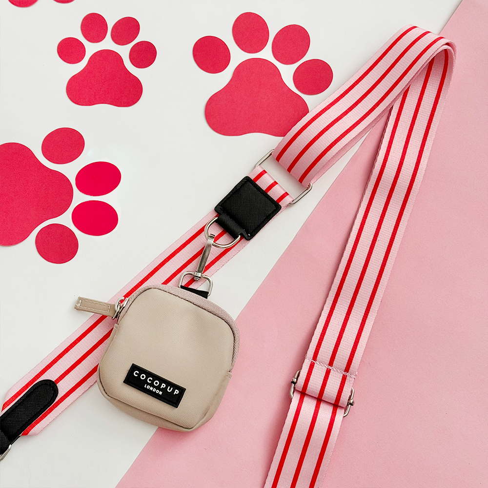 Bag Strap - Candy Stripe